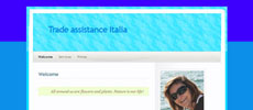 Trade Assistance italia
